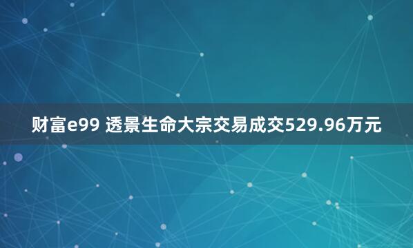 财富e99 透景生命大宗交易成交529.96万元
