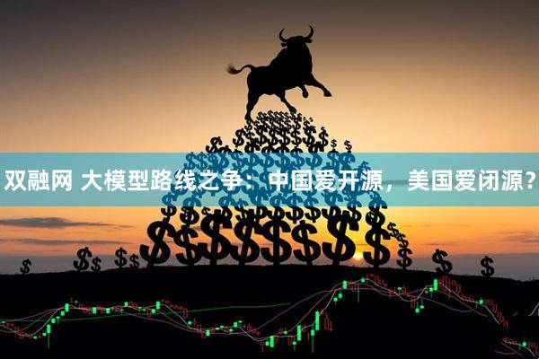双融网 大模型路线之争：中国爱开源，美国爱闭源？