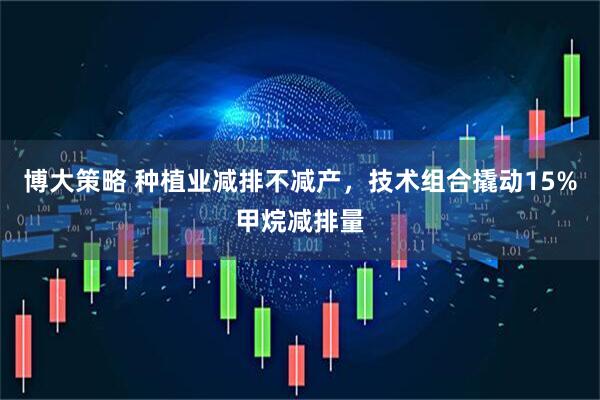 博大策略 种植业减排不减产，技术组合撬动15%甲烷减排量