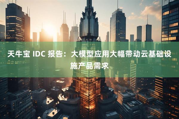 天牛宝 IDC 报告：大模型应用大幅带动云基础设施产品需求