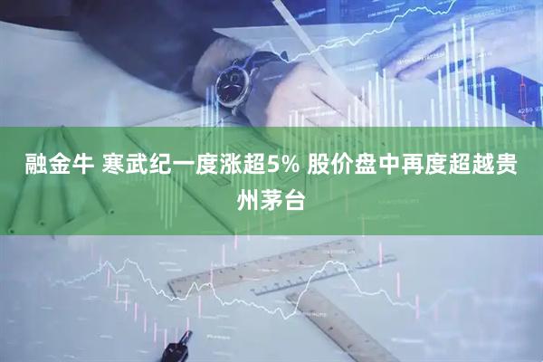 融金牛 寒武纪一度涨超5% 股价盘中再度超越贵州茅台