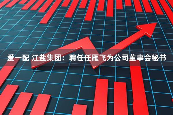 爱一配 江盐集团：聘任任雁飞为公司董事会秘书
