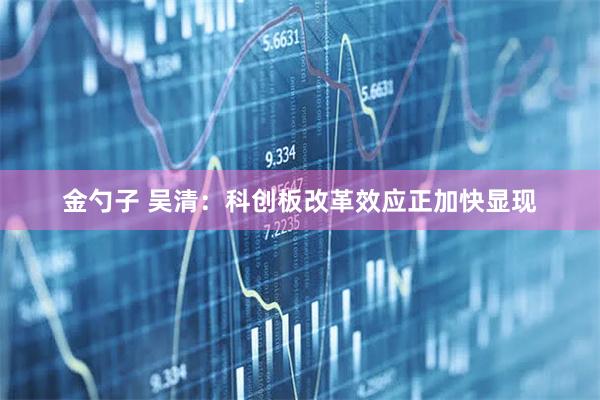 金勺子 吴清：科创板改革效应正加快显现